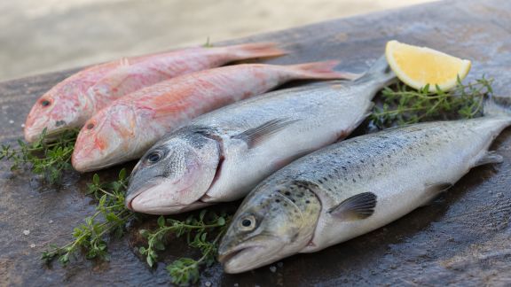 Tour d’horizon des meilleurs poissons à cuire entier sur la plancha