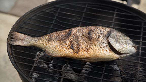 Guide malin pour maîtriser la cuisson des poissons entiers au barbecue