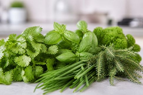 Zoom sur les herbes fraîches les plus aromatiques dans vos sauces